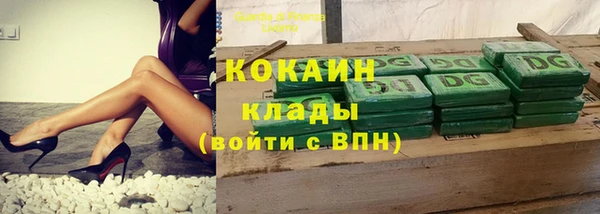 шишки Киренск