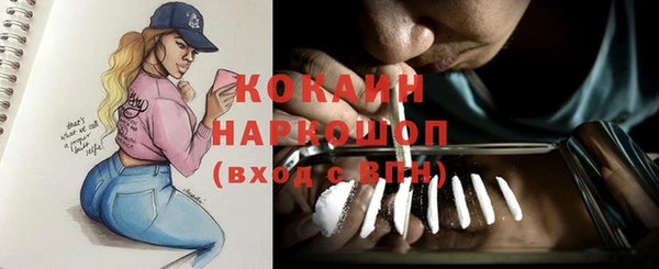 шишки Киренск