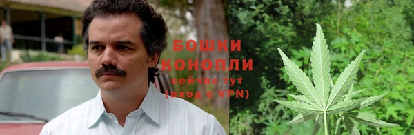 шишки Киренск