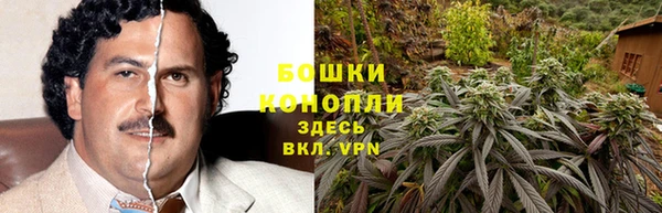 mdpv Кодинск